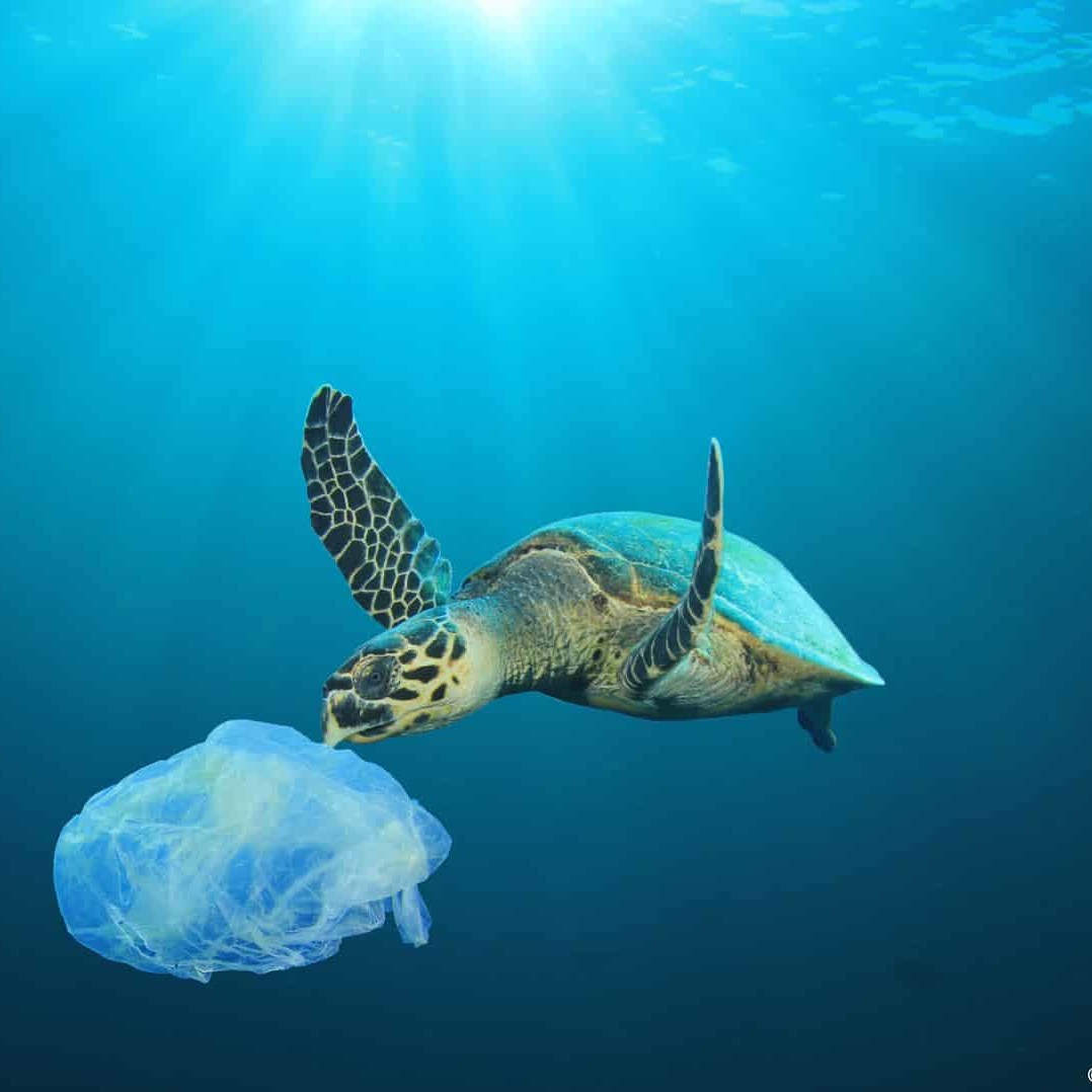 Al G20 di Osaka la sfida della plastica nei mari