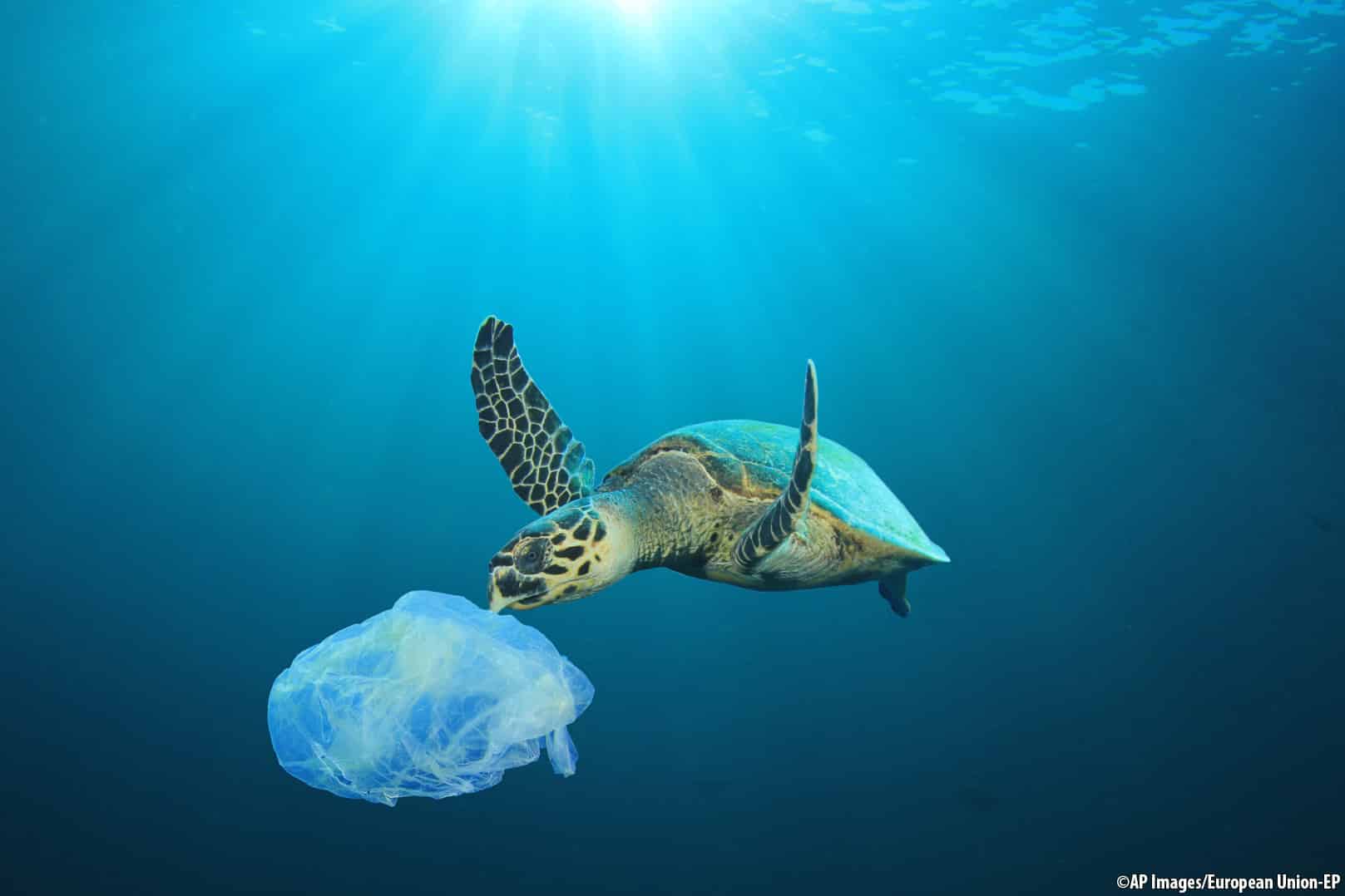 Al G20 di Osaka la sfida della plastica nei mari